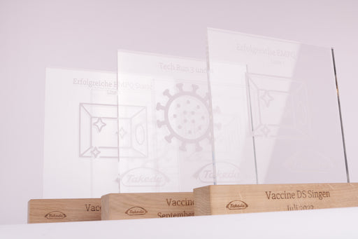 Custom Award - Glass of Fame - Takeda