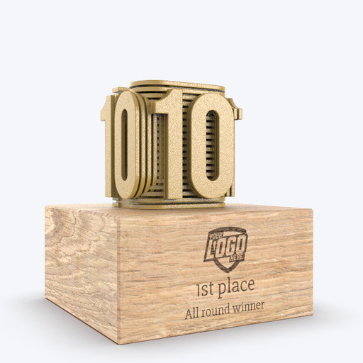 Custom Award_Anniversary Award_10_Gold
