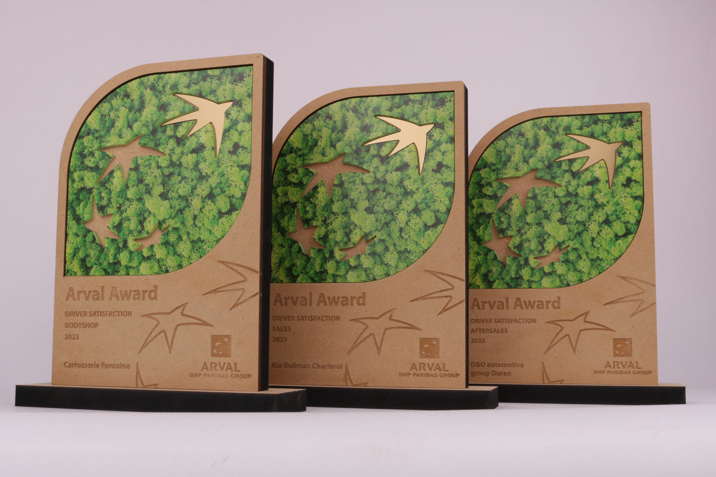 wooden trophy with a green design for arval