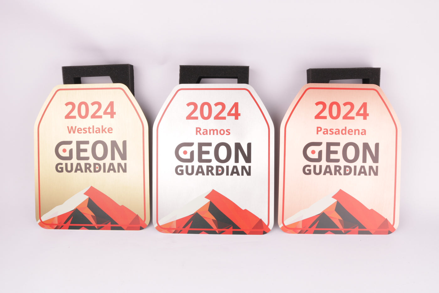brassed trophy for geon guardian
