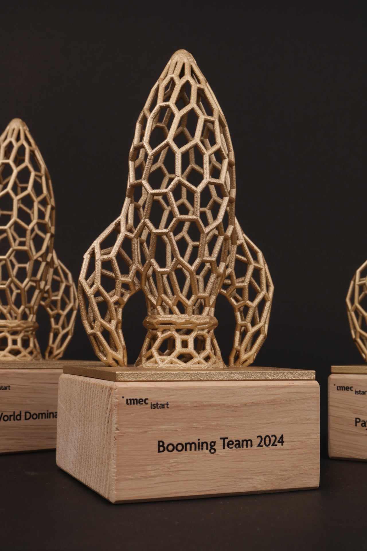 wooden base with a golden 3d printed rocket on top