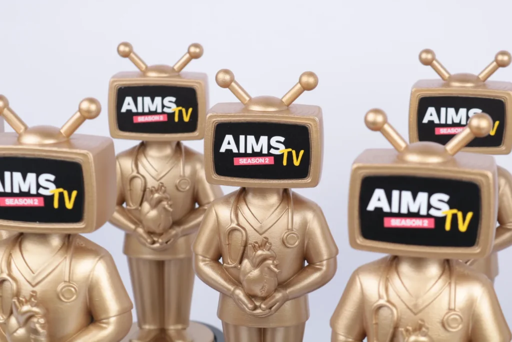 Custom AIMS TV mascot awards