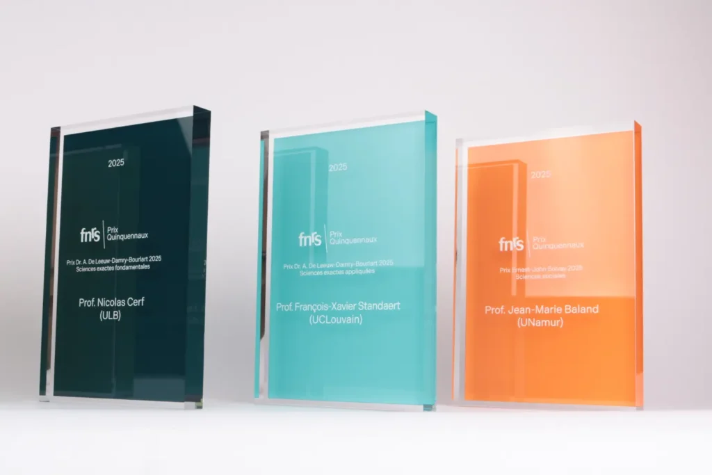 Custom award made by Fabit